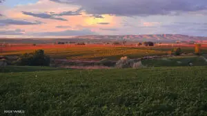 125498 W Mccreadie Rd, Prosser, WA 99350 - #1