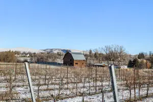 NKA Wenas/lancaster Rd, Selah, WA 98942 - Image #3