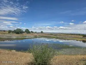 5451 Branch Rd, Wapato, WA 98951 - #2
