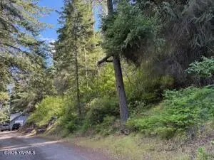 370 Pine Cliffs Dr, Naches, WA 98937 - #3