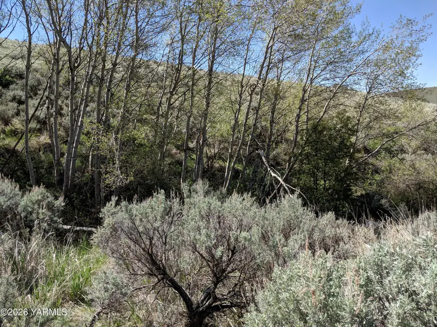 NNA Chapman Rd, Yakima, WA 98901 - #3