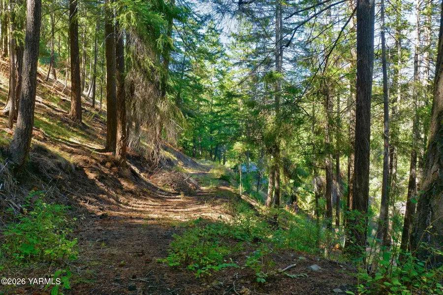 NKA Pine Cliffs, Naches, WA 98937 - #2