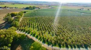 1870 Phipps Rd, Sunnyside, WA 98944 - #2