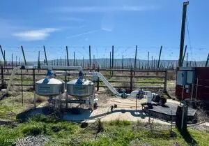 NKA Yost Rd, Toppenish, WA 98948 - #3