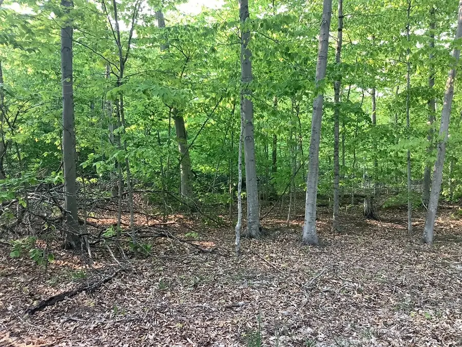 TBD Hagen Dr, Washington Island, WI 54246 - Image #2