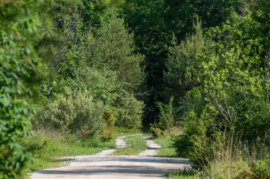 Lot 5 White Cliff Woods Ln, Fish Creek, WI 54212 - Image #3