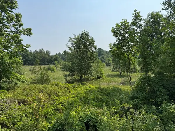 Lot 2 Division Rd, Egg Harbor, WI 54209