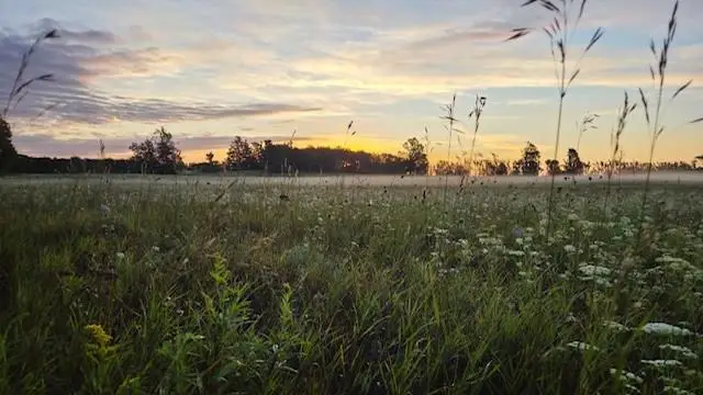 Lot 6 Wildwood Ct, Sister Bay, WI 54234 - Image #2