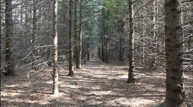 Lot 6 Wildwood Ct, Sister Bay, WI 54234 - Image #3