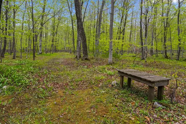 TBD Mink River Rd, Ellison Bay, WI 54210