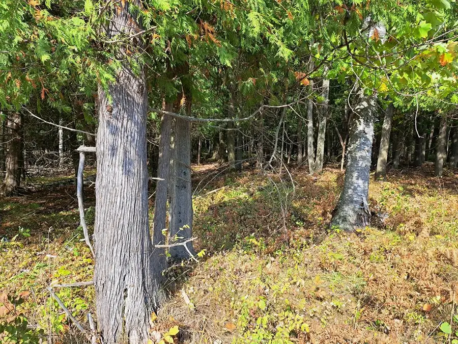 Sawyer Dr, Sturgeon Bay, WI 54235 - Image #2