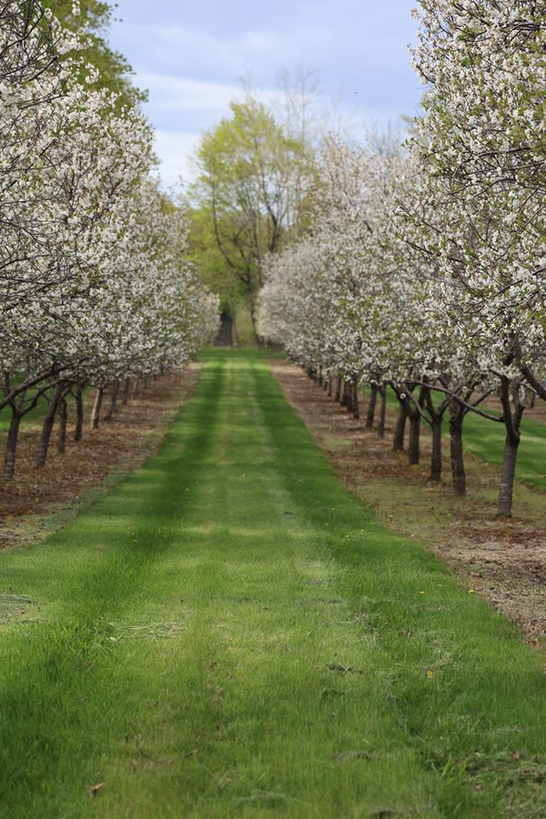 Woodcrest Rd, Town of Liberty Grov, WI 54210