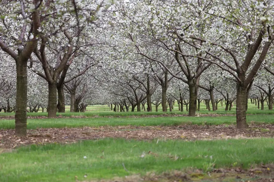 Woodcrest Rd, Liberty Grove Town, WI 54210 - Image #2