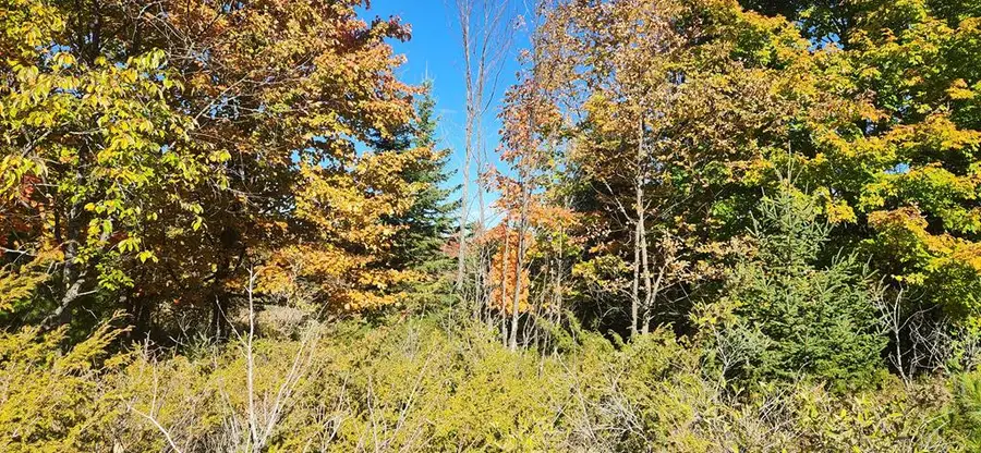 9448 Maple Grove Rd, Fish Creek, WI 54212 - Image #2