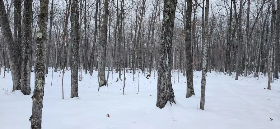 8108 Deer Ridge Ct, Baileys Harbor, WI 54202 - Image #3