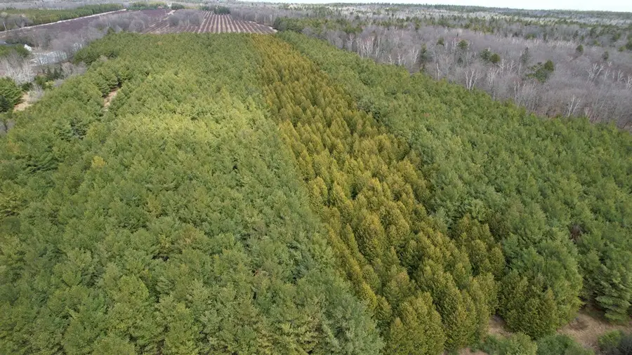 Lot 3 Birch Rd, Baileys Harbor, WI 54202 - #3