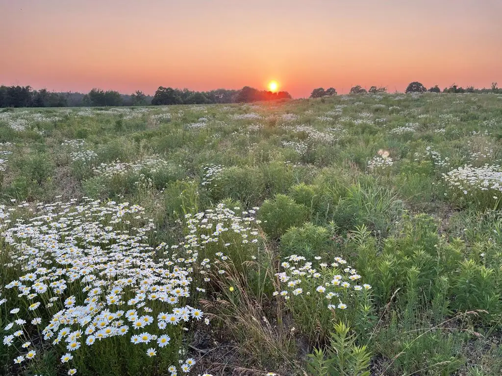 County Rd Ee, Fish Creek, WI 54212 - #1