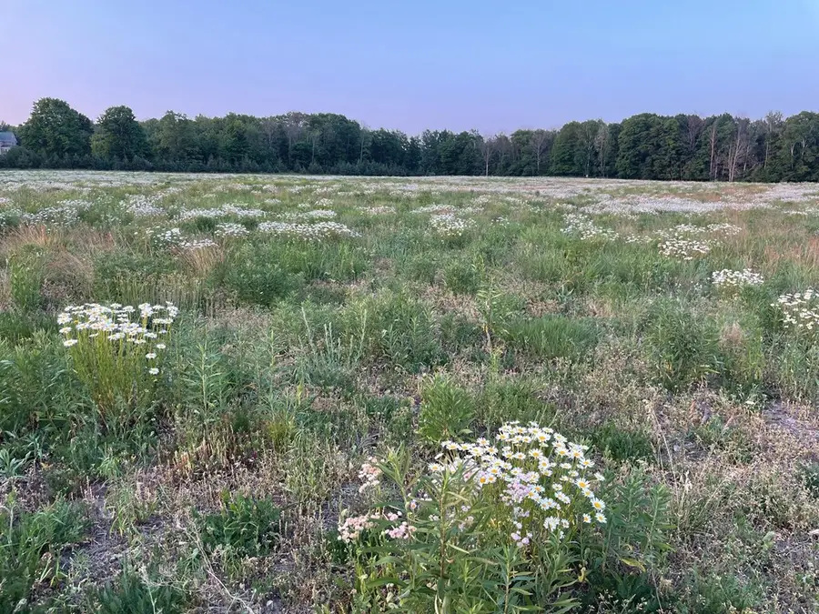 County Rd Ee, Fish Creek, WI 54212 - #2