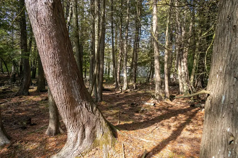 TBD Glidden Dr, Sturgeon Bay, WI 54235 - #2