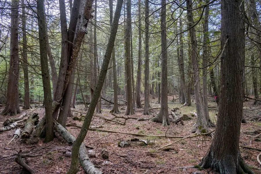 TBD Glidden Dr, Sturgeon Bay, WI 54235 - #3