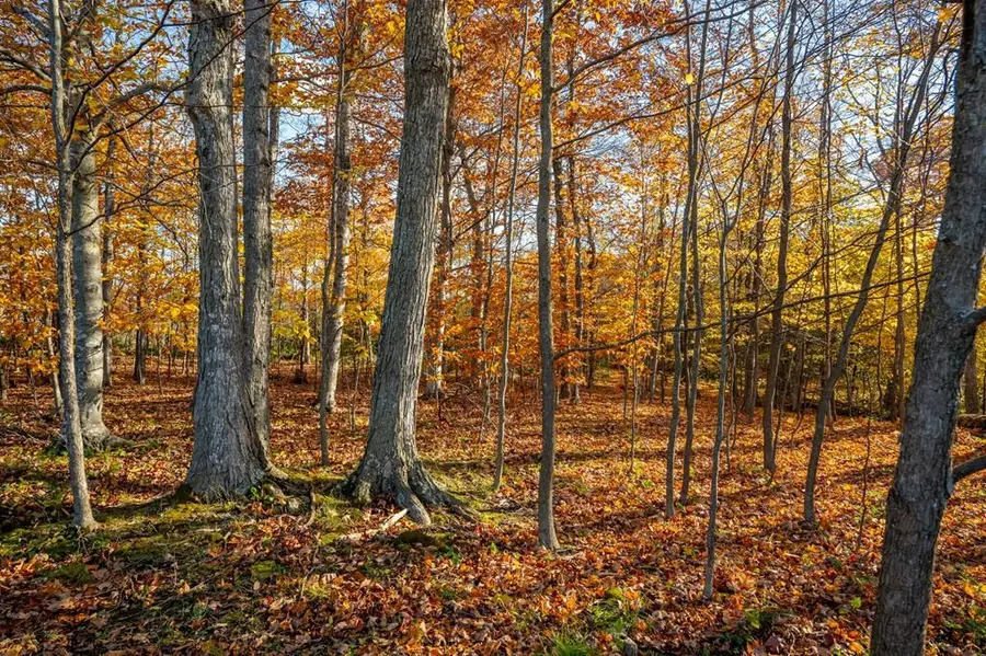 Lot 1 Northwoods Dr, Sister Bay, WI 54234 - #2