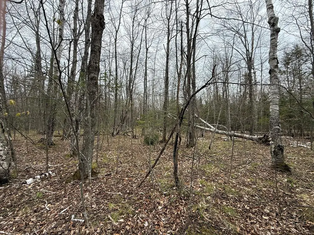 Lot 5 Bluebird Tr, Ellison Bay, WI 54210 - #1