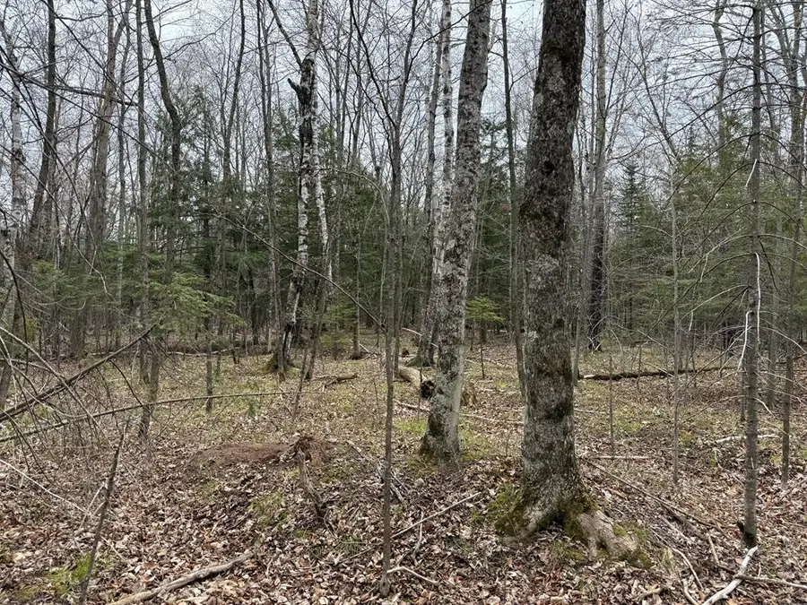 Lot 5 Bluebird Tr, Ellison Bay, WI 54210 - #2