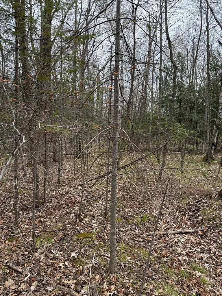 Lot 5 Bluebird Tr, Ellison Bay, WI 54210 - #3