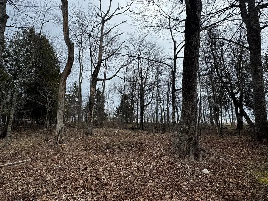 TBD Wickman Rd, Washington Island, WI 54246 - #2