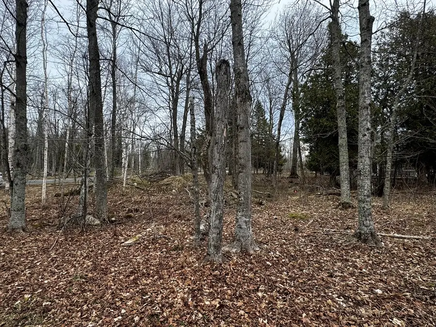 TBD Wickman Rd, Washington Island, WI 54246 - #3