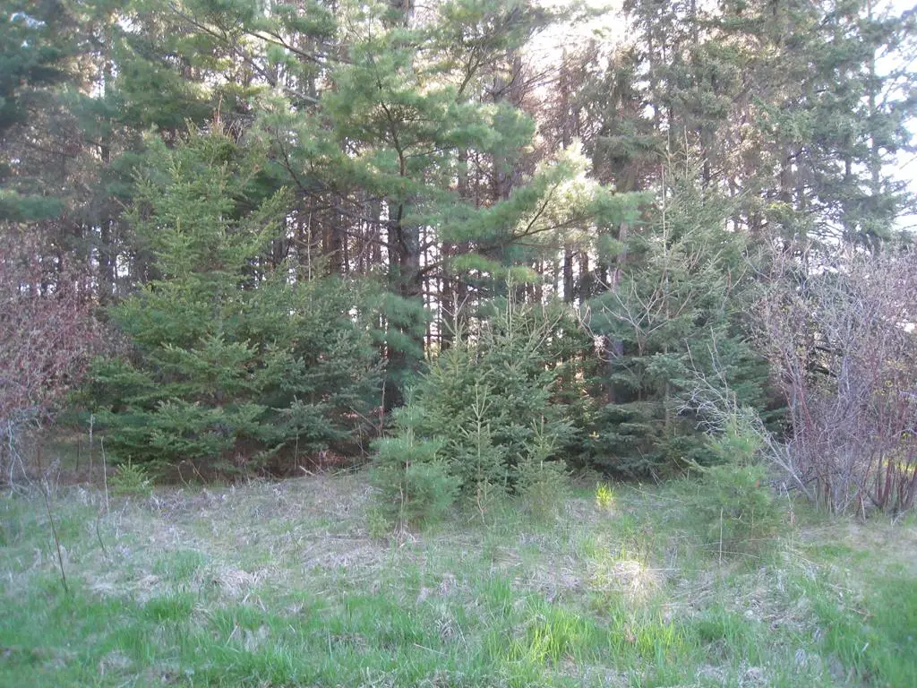 Lot 4 Hainesville Rd, Sturgeon Bay, WI 54235 - #1