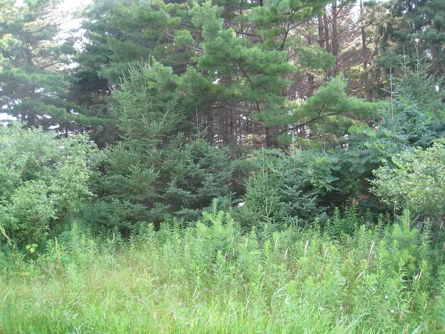 Lot 4 Hainesville Rd, Sturgeon Bay, WI 54235 - #3