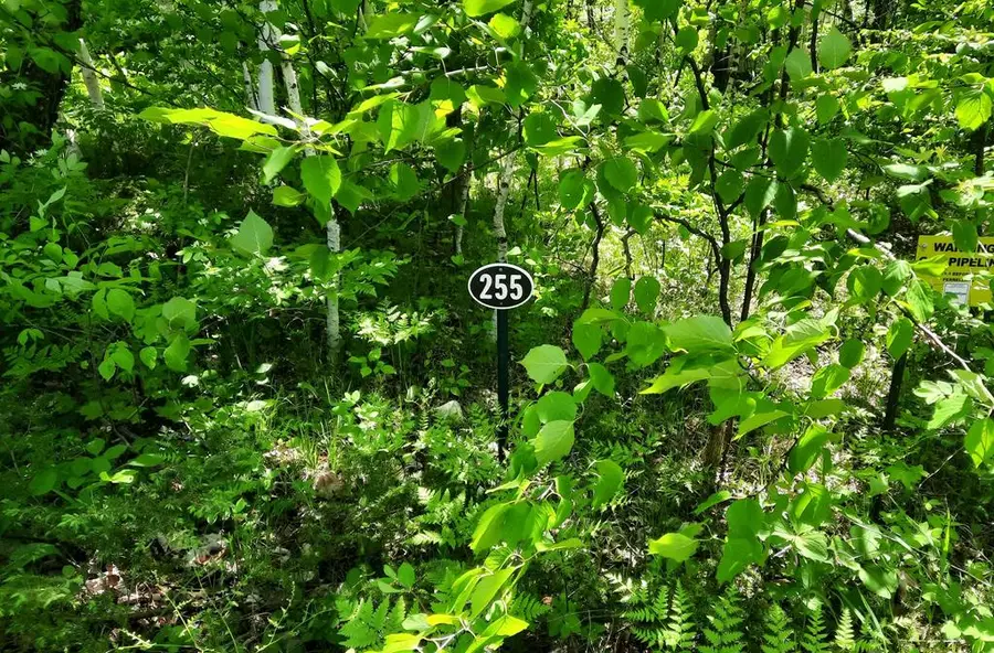 4286 Harbor School Rd, Egg Harbor, WI 54209 - #2