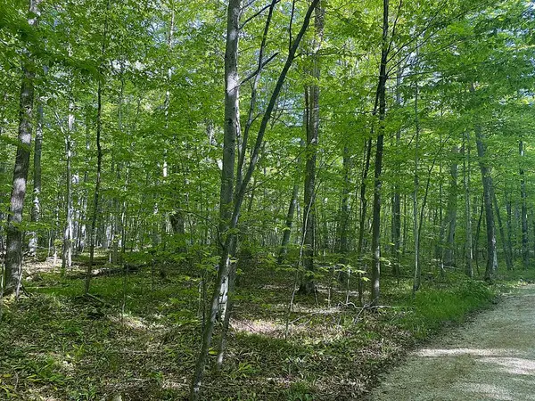TBD Garrett Bay Ln, Ellison Bay, WI 54210