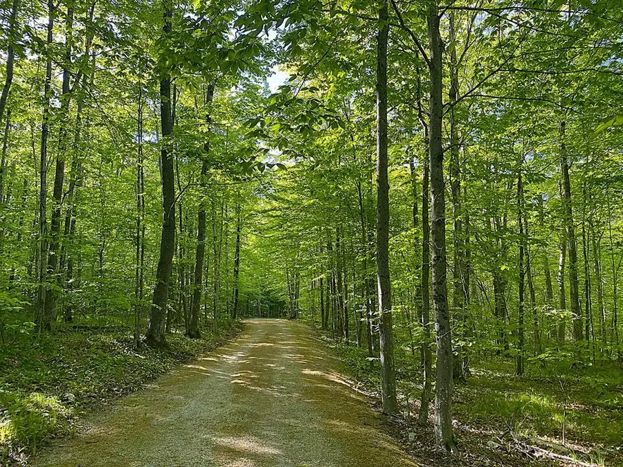 TBD Garrett Bay Ln, Ellison Bay, WI 54210 - #2