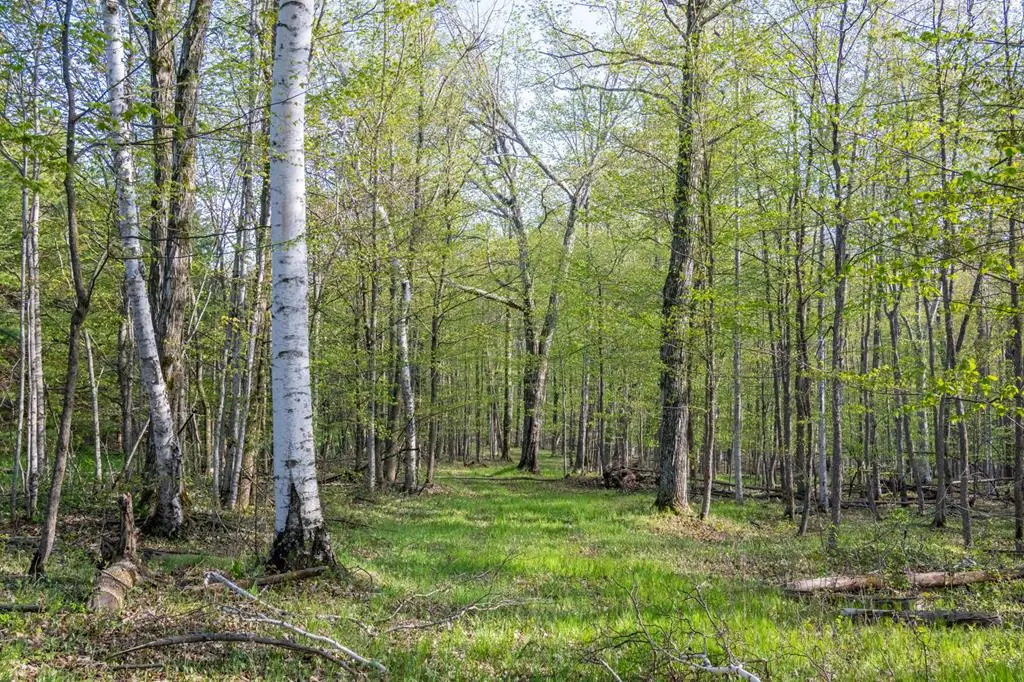 TBD S Highland Rd, Fish Creek, WI 54202 - #1