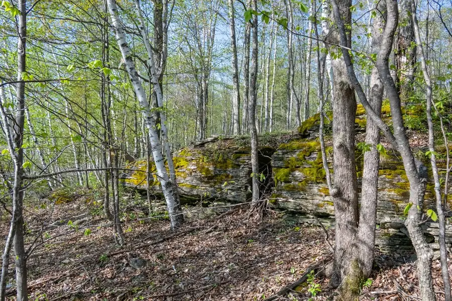 Lot 3 High Plateau Woods Ln, Gibraltar, WI 54202 - #3