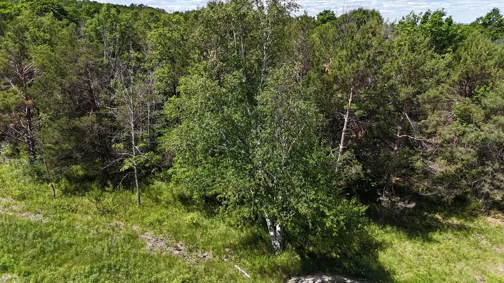 Site #2 Cottage Bluff Ln, Fish Creek, WI 54212 - #1
