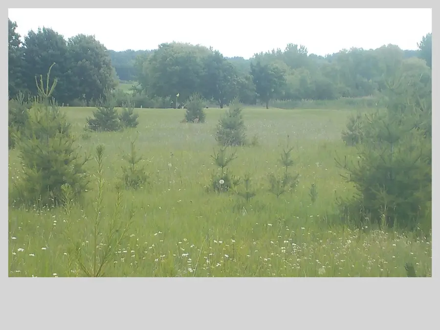County Rd M, Sturgeon Bay, WI 54235 - #2