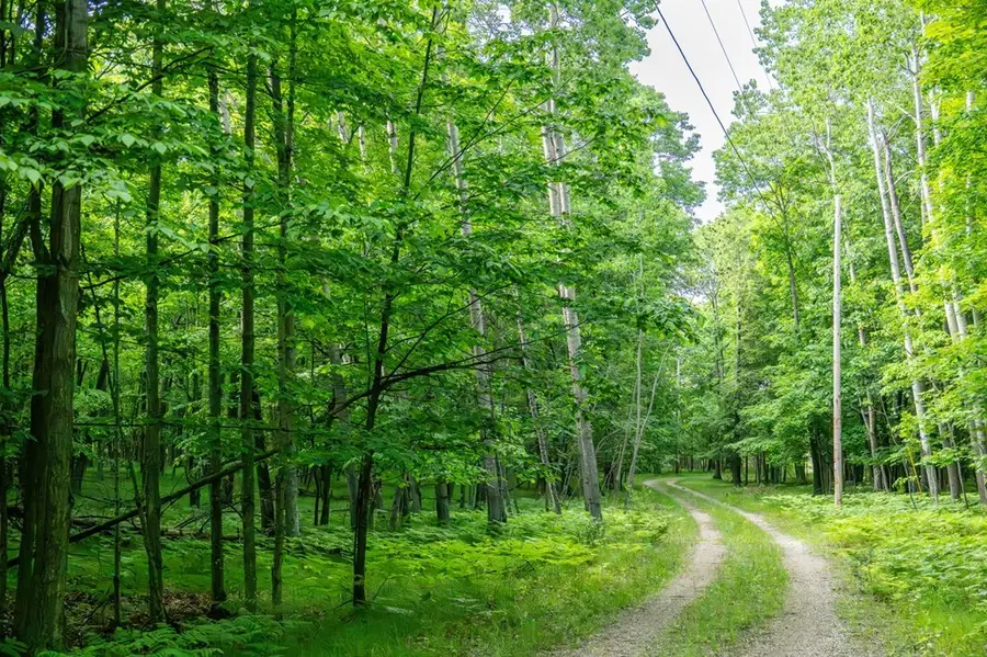 Lot 5 White Cliff Woods Ln, Fish Creek, WI 54212 - #2