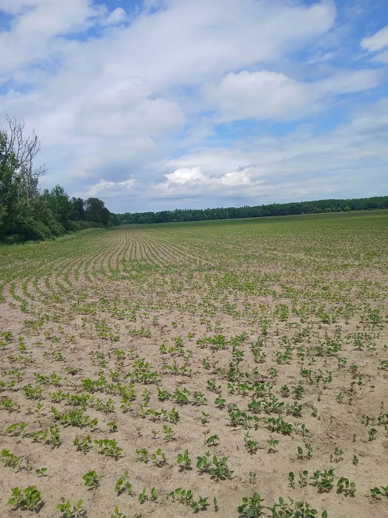 TBD County Rd Hh, Sturgeon Bay, WI 54235 - #2