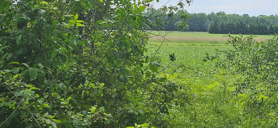 Lot 2 County Rd S, Sturgeon Bay, WI 54235 - #3
