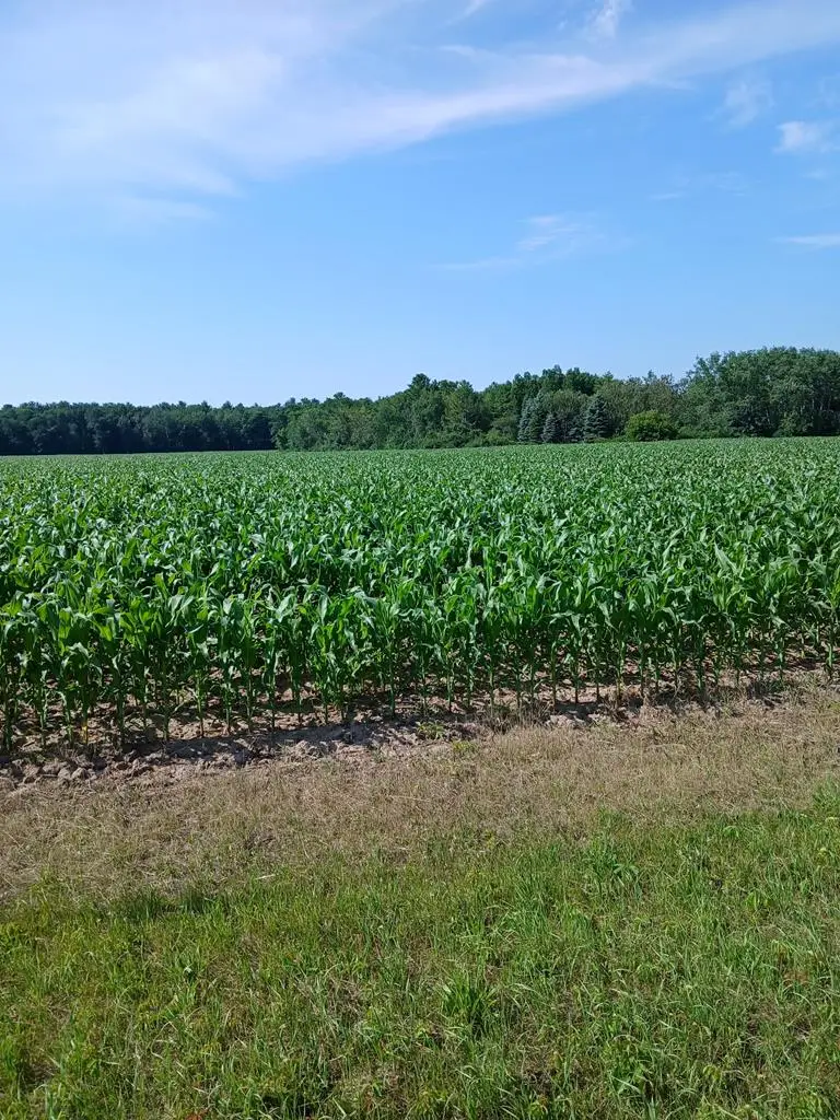 TBD County Rd Hh, Sturgeon Bay, WI 54235 - #1