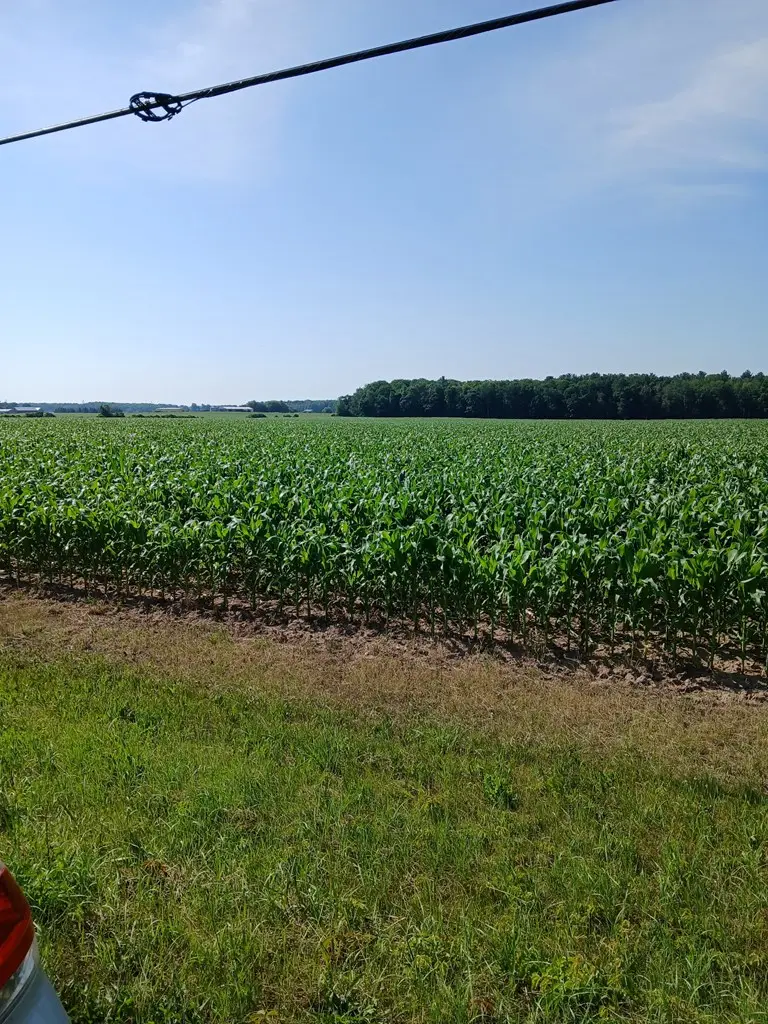TBD County Rd Hh, Sturgeon Bay, WI 54235 - #2