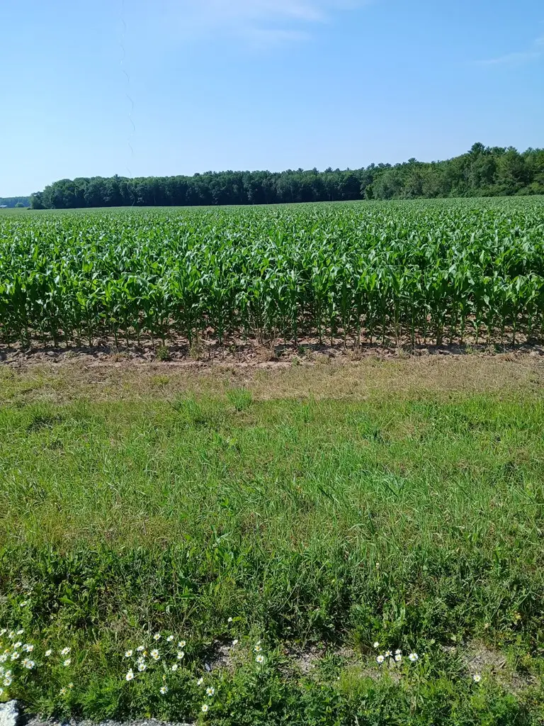 TBD County Rd Hh, Sturgeon Bay, WI 54235 - #3