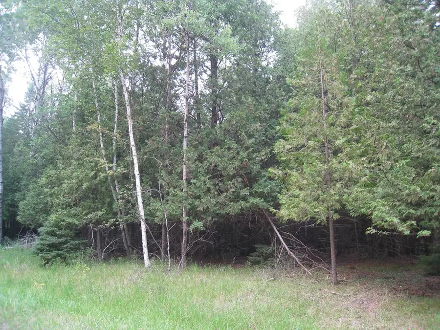 Sleepy Hollow Dr, Forestville, WI 54213 - #2