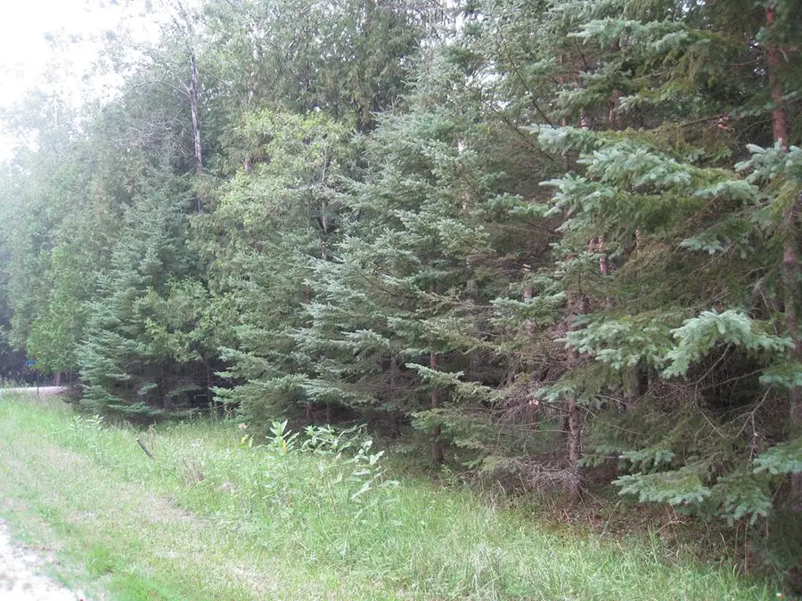 Sleepy Hollow Dr, Forestville, WI 54213 - #3