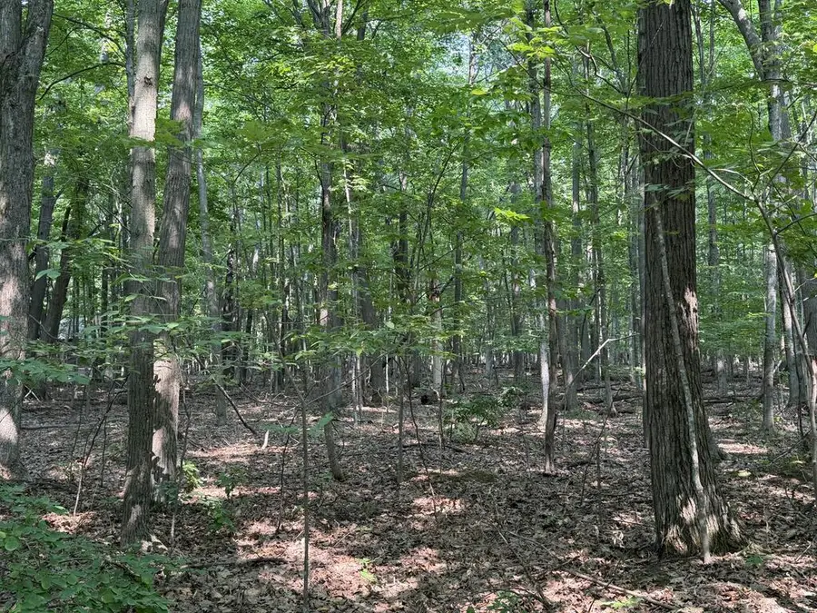 TBD Birch Ln, Egg Harbor, WI 54209 - #3