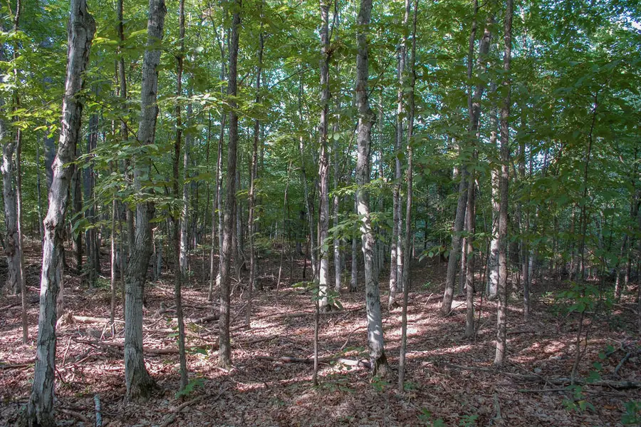 TBD Ironwood Rd, Sister Bay, WI 54234 - #2