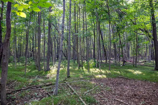 Lot 3 Memorial Dr, Egg Harbor, WI 54209